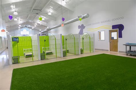 Pet suite - Luxurious boarding, daycare, and spa for dogs and cats! We are open 6:30 AM – 8:00 PM. 2057 Bryant Rd, Lexington, KY 40509